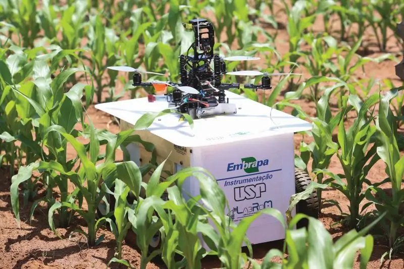 White four-wheeled rover with USP and Embrapa logos in a maize field, a drone resting on top
